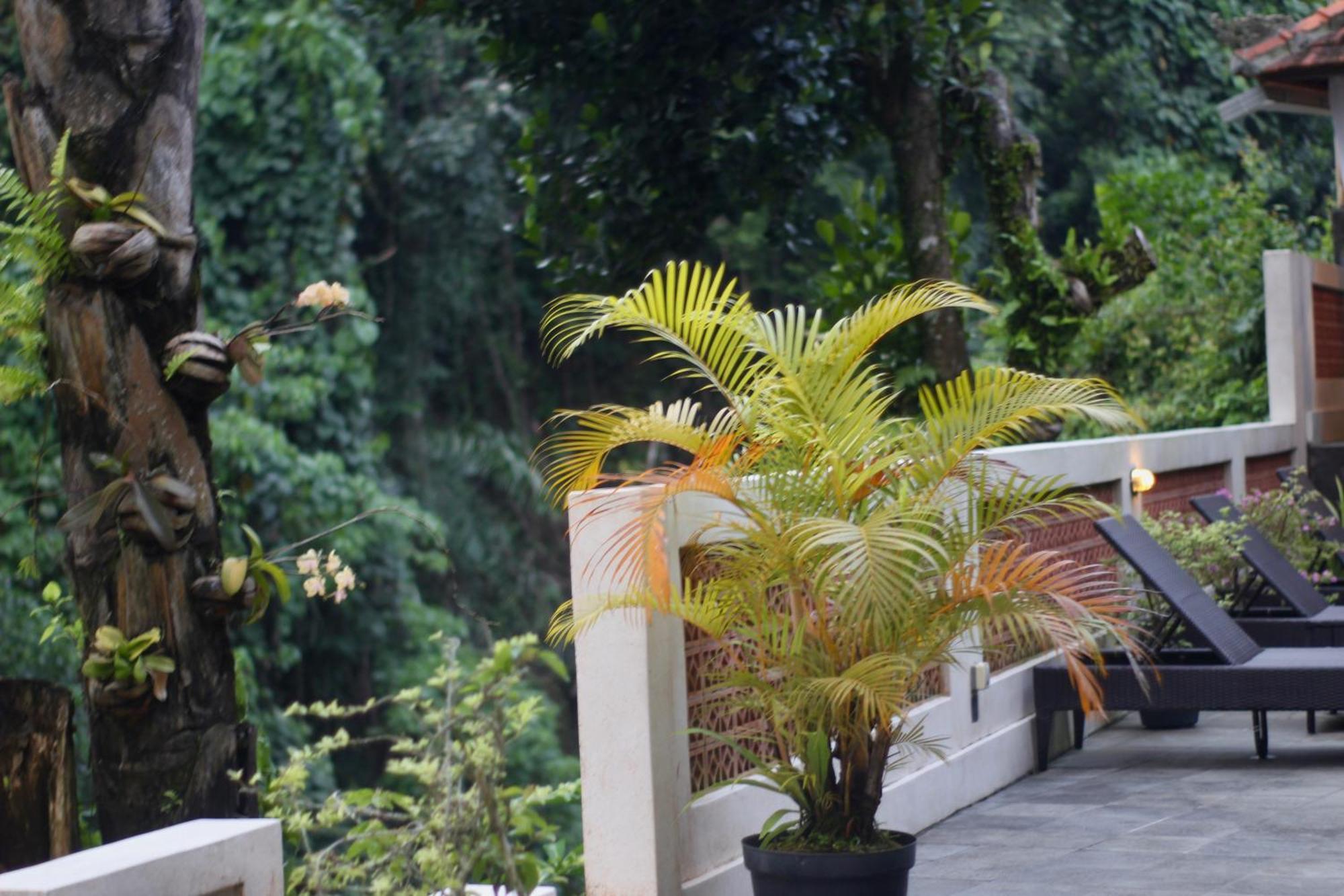 Hanaka Riverside Ubud Ngoại thất bức ảnh