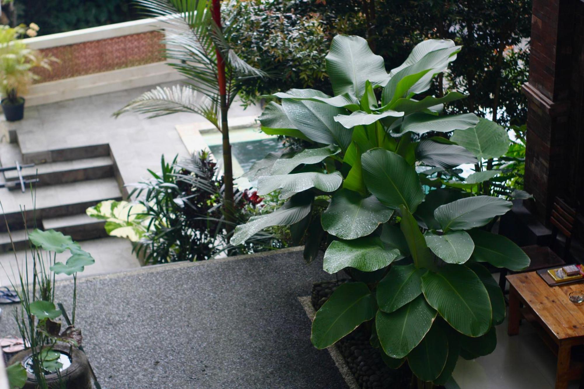 Hanaka Riverside Ubud Ngoại thất bức ảnh