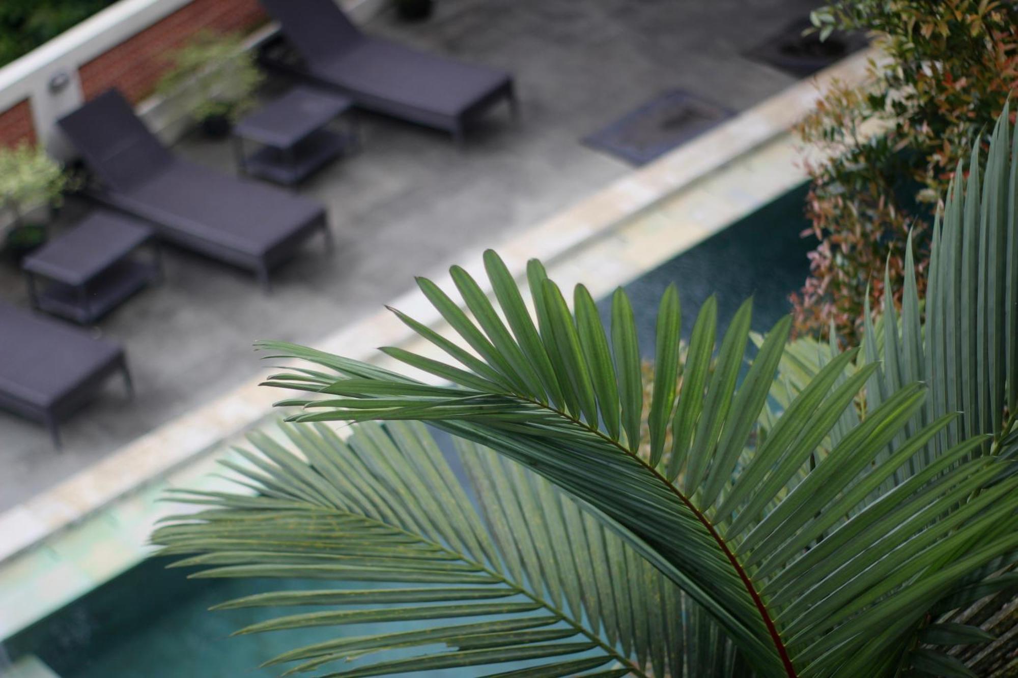 Hanaka Riverside Ubud Ngoại thất bức ảnh